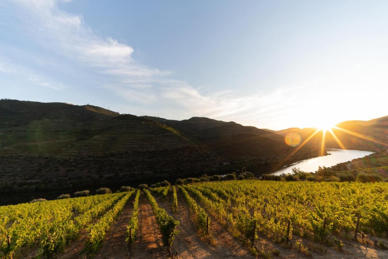 Quinta De S. Jose - Turismo Rural Ervedosa do Douro Eksteriør billede