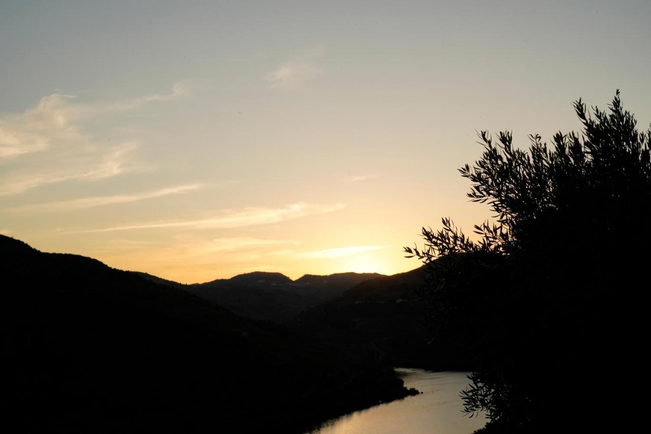 Quinta De S. Jose - Turismo Rural Ervedosa do Douro Eksteriør billede